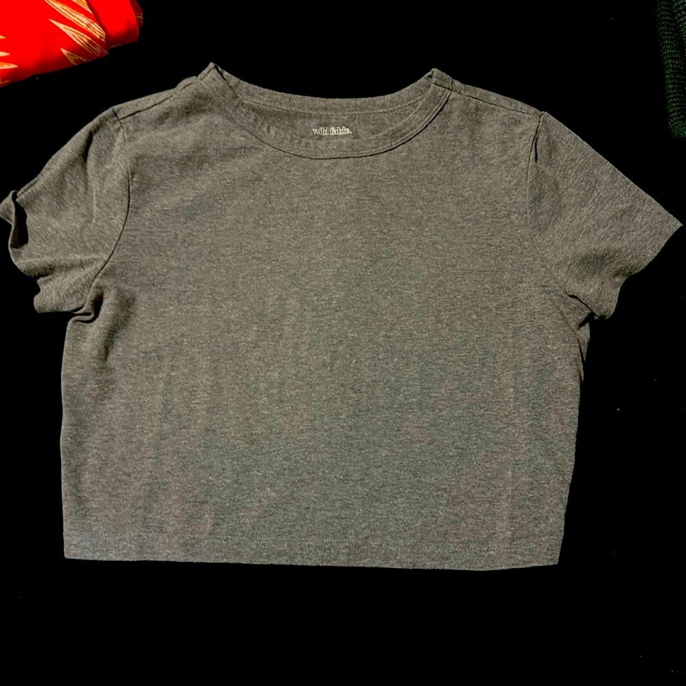Gray crop top